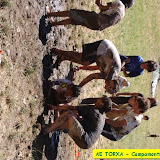 camp2007-075.jpg