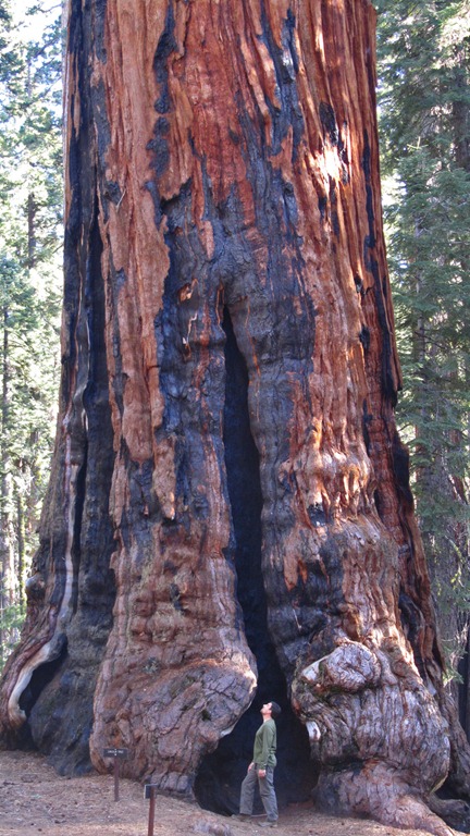 [Sequoia%2520NP26-13%2520Jan%25202012%255B5%255D.jpg]