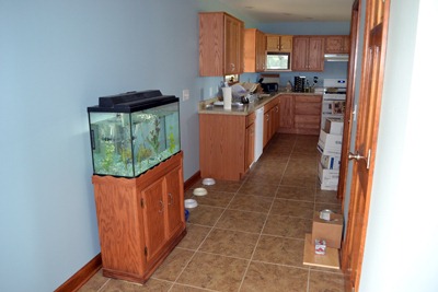 [kitchen%2520during%252001%255B3%255D.jpg]
