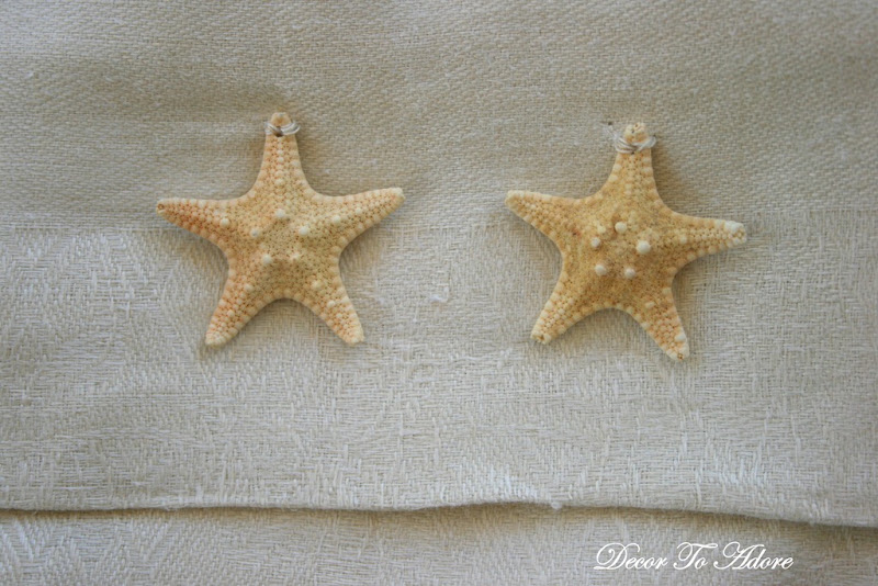seashells 024