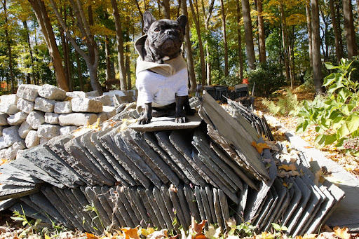 Look at these slate shingles.  I think they were used on the roofs of the chicken coops.