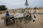 Hindu Holy Rat Temple, India 019.JPG