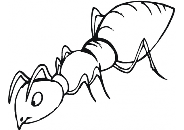 [insects_coloring_pages%2520%252813%2529.png]