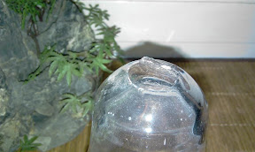 IMAG0070.jpg