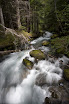Dungeness River