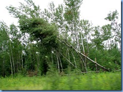 2658 Minnesota Hwy 2 East - storm damage 2658 Minnesota Hwy 2 East - storm damage
