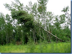 2658 Minnesota Hwy 2 East - storm damage