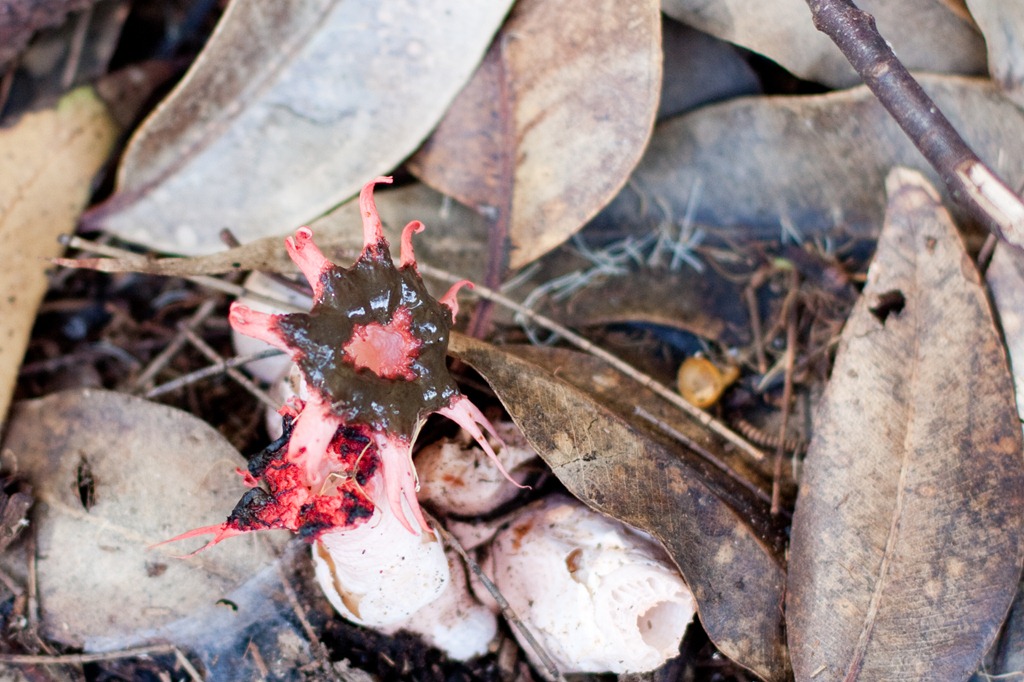 [20121213-IMG_2677-2%255B20%255D.jpg]