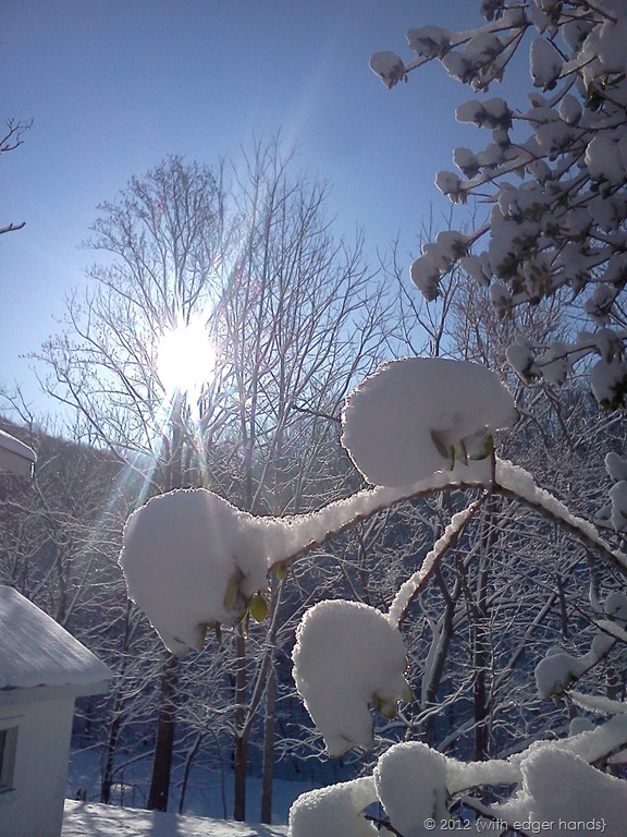 [IMG_20120220_085221%255B5%255D.jpg]