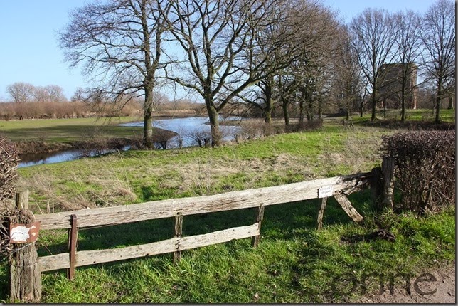 landschap landschap