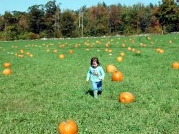[Picking-A-Pumpkin4.jpg]