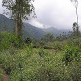 The trail to Gn Guntur from Tanjung Karya (Daniel Quinn, October 2010)