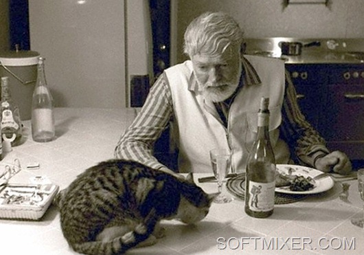 Hemingway-and-Cat
