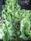 Farm-fresh spinach