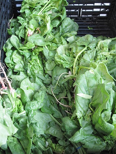 Farm-fresh spinach