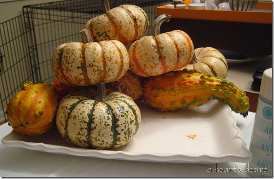 IMG_6347 IMG_6347