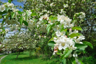 DSC_0413.jpg DSC 0413