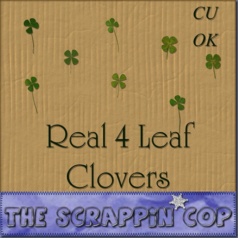 SC_4LeafCloverPreview