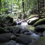 Gunung Palung - pristine stream, good for drinking (Andy Dean, July 2010)