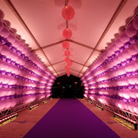 emma amazing fund raise party.jpg