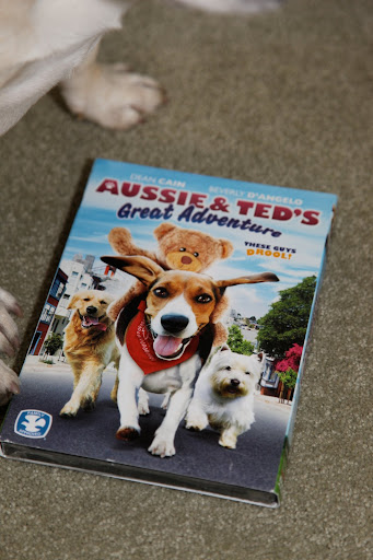 It has a title called 'Aussie & Ted's Great Adventure.'  It appears to be a story about a bunch of dogs and a Teddy bear.