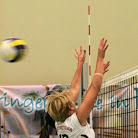 img002.jpg