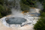 Ngararatuatara cooking pool, Te Puia