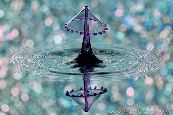 liquid-drop-art-gotas-caindo-foto-velocidade-hora-certa-desbaratinando (193) liquid-drop-art-gotas-caindo-foto-velocidade-hora-certa-desbaratinando (193)