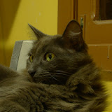 web-DSC04809.JPG