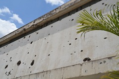 DSC_0213 DSC_0213