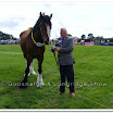Shire 015.jpg