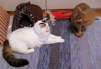 IMG_4061 - liten.jpg