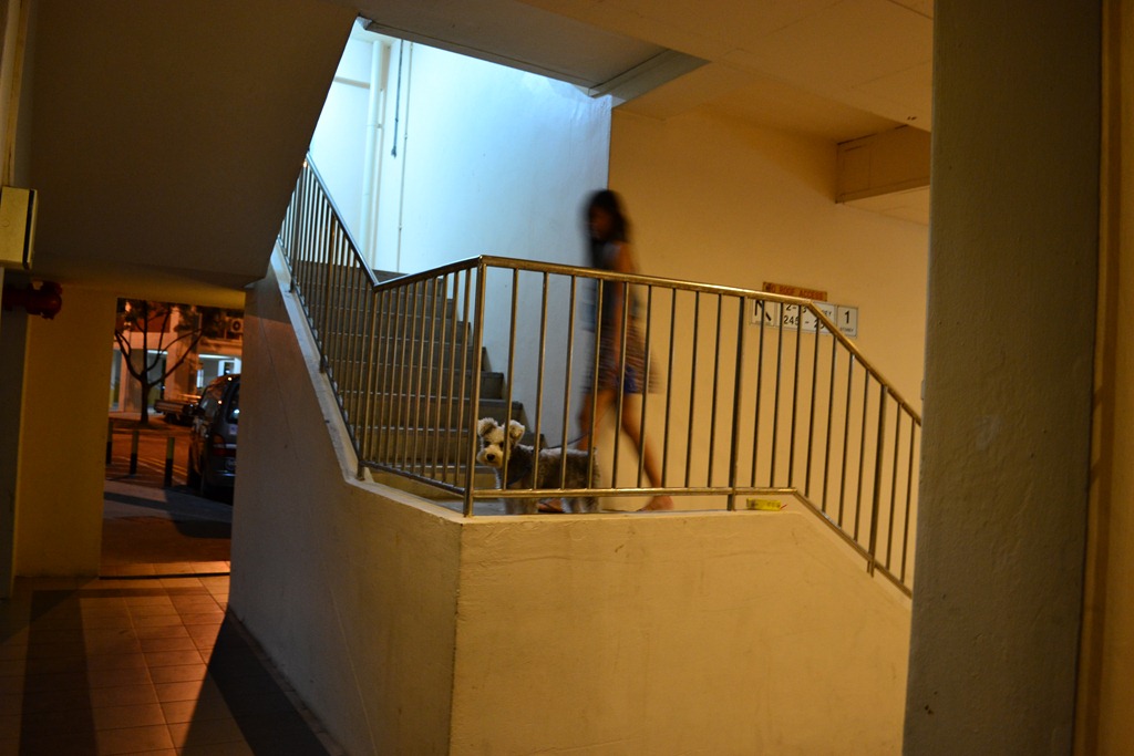 [DSC_0570%255B3%255D.jpg]