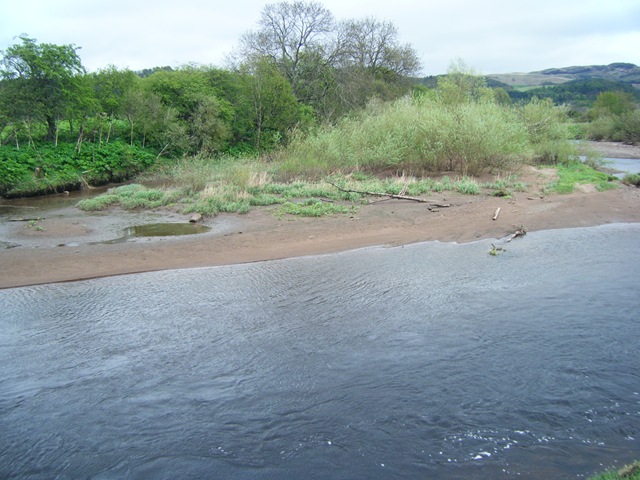 [DSCF41273.jpg]