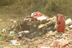 903-0384_IMG.JPG