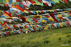Loads of prayer flags