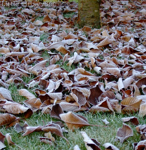 [2011_1118blog-photos0008%255B8%255D.jpg]