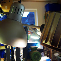 IMG_5280.jpg