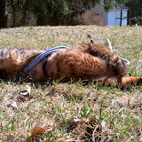 IMAG0191.jpg