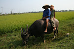Hoi An, Vietnam 019.JPG