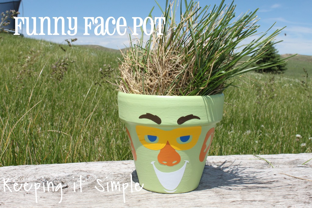 [funny%2520face%2520pot%255B3%255D.jpg]