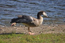 DSC_2075.JPG