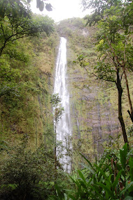 DSC_1029.jpg