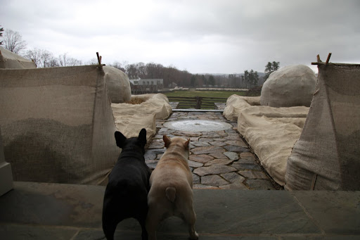 Here comes the rain!  I see the first drops falling.
