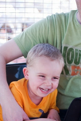 Jacob ferris wheel