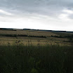 IMG_1014.JPG
