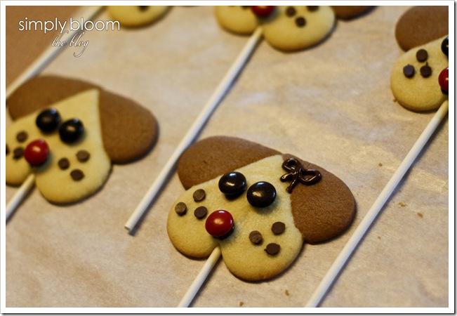 puppy pops (8 of 1)