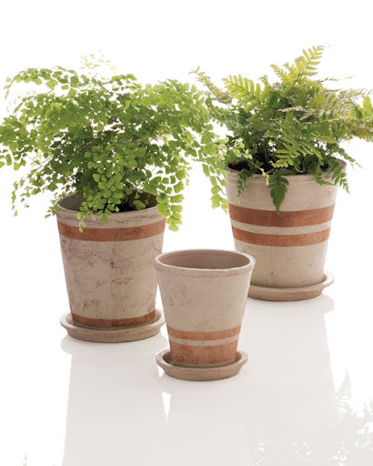 Add a striped touch to your outdoor space with these customized planters.
(marthastewart.com/273367/pots-of-all-stripes) Add a striped touch to your outdoor space with these customized planters.
(marthastewart.com/273367/pots-of-all-stripes)