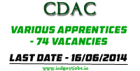 [CDAC-Apprentices-2014%255B3%255D.png]