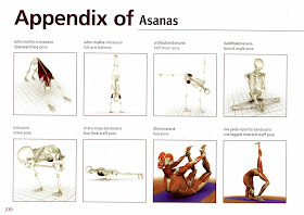 Pada results uttana Dandasana